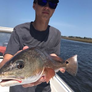 Meet your Posher, Hunter